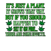 Cannabis