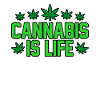 Cannabis