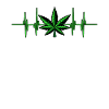 Cannabis