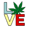 Cannabis