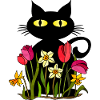 Chat