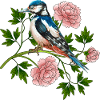 Bunter Vogel