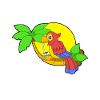 Parrot with coconut