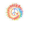 Hippy