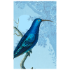 Oiseau bleu magique