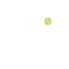 Softball Coach