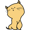 orange cat
