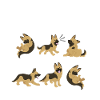 German shepherd