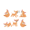 Chihuahua Shirt