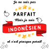 I'm not perfect but I'm Indonesian