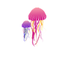 Berauscht vom Meer