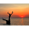 Tropical Sunset in Indonesia