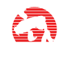 Koi carp with sun