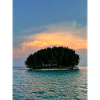 Tropical Island