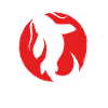 White Koi Carp
