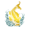 Yellow Koi Carp