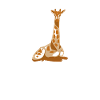 Safari Giraffe