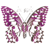 schönes Schmetterling T-Shirt