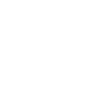 Chief Script