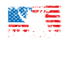 Stegosaurus On A Usa flag