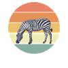 Retro Zebra Gift