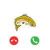 fario