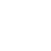 Helicopter Dog Mom