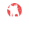 Stegosaurus On A Red Sun