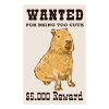 Capybara Water License