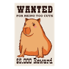 Capybara Water License