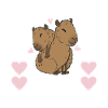 Capybara Water License