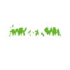 Triceratops are fantastic