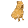Capybara Water License
