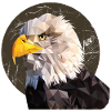 Adler Polygondesign