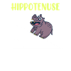 Hippotenuse Algebra Mathematics Student