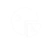 Dividend Shareholder Shares