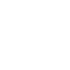 spinne spinnennetz netzwerker arachnoidea