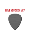 Plektrum Guitar Pick Missing