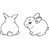 Two rabbits