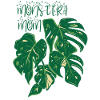 Monstera Maman | Planter
