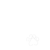 citation de chien