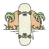 Skateboard sun (farbig)