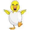 Duck with egg