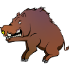 wild boar