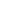 Ants Ant breeding ant