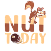 Nuss Today | Squirrel joke | Fun