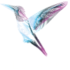 Fly Away