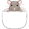 Mouse from pocket looks curious