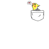 Cockatiel Chest Bag Motif Gift