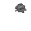 Dear porcupine